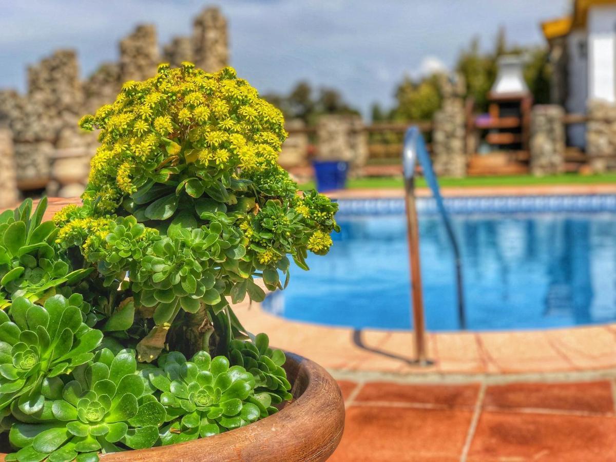 Jarandalus Villa El Gastor Ngoại thất bức ảnh